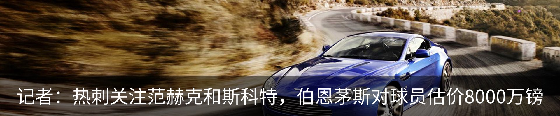 新闻动态