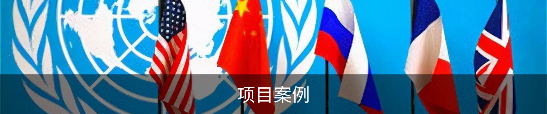 项目案例